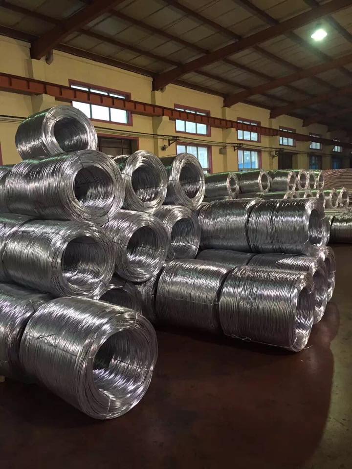 Electro Galvanized Wire