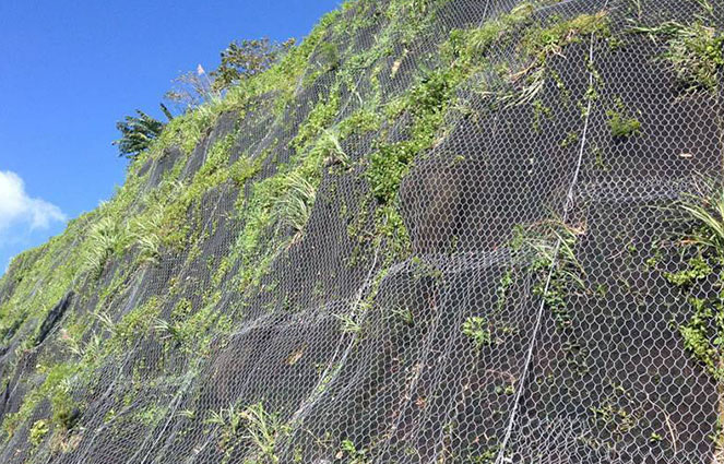 Rockfall Netting